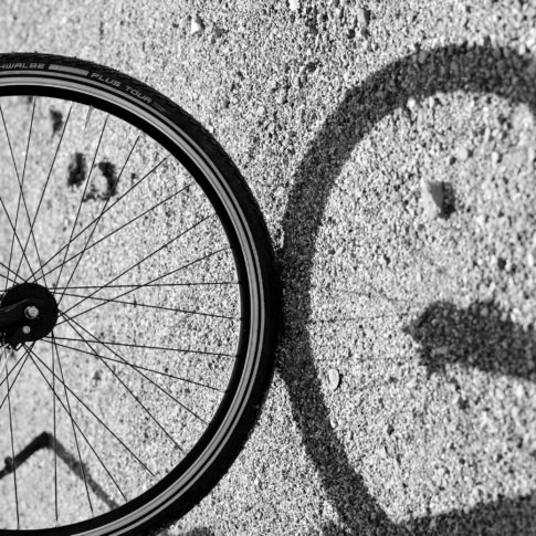 Roue de vélo et son ombre Teambuilding activité sportive en nature
